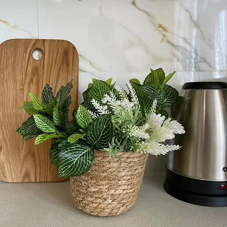 просторная удобная у моря в аркадии на 6 человек! * 敖德萨