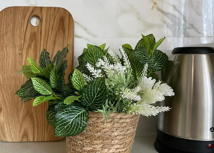 просторная удобная у моря в аркадии на 6 человек! * Οδησσός